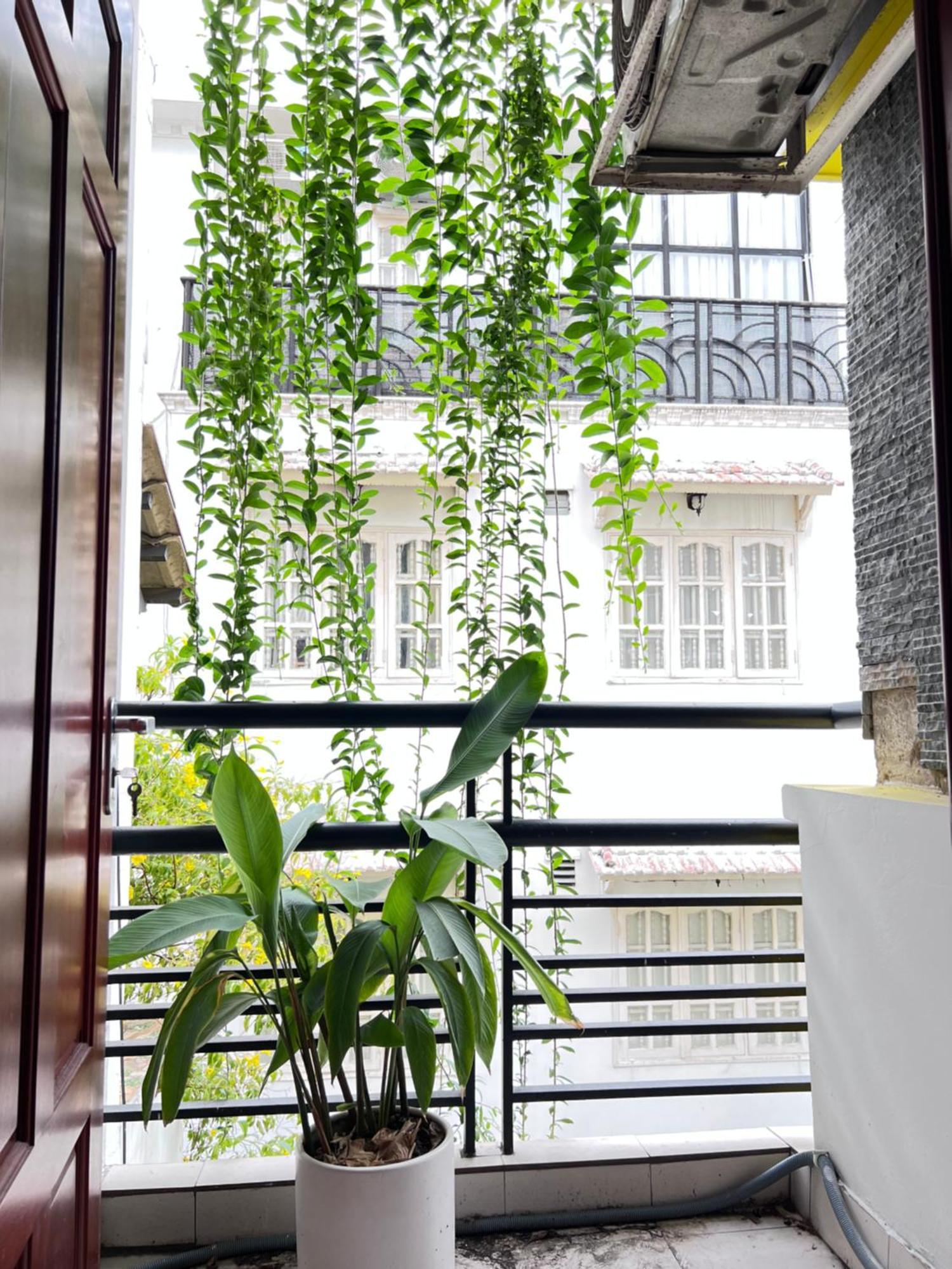 Co Homestay Saigon Ho Chi Minh-staden Exteriör bild
